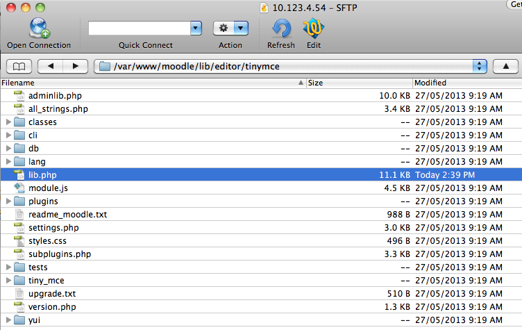 Lib file for TinyMCE editor in Moodle Lib file for TinyMCE editor in Moodle